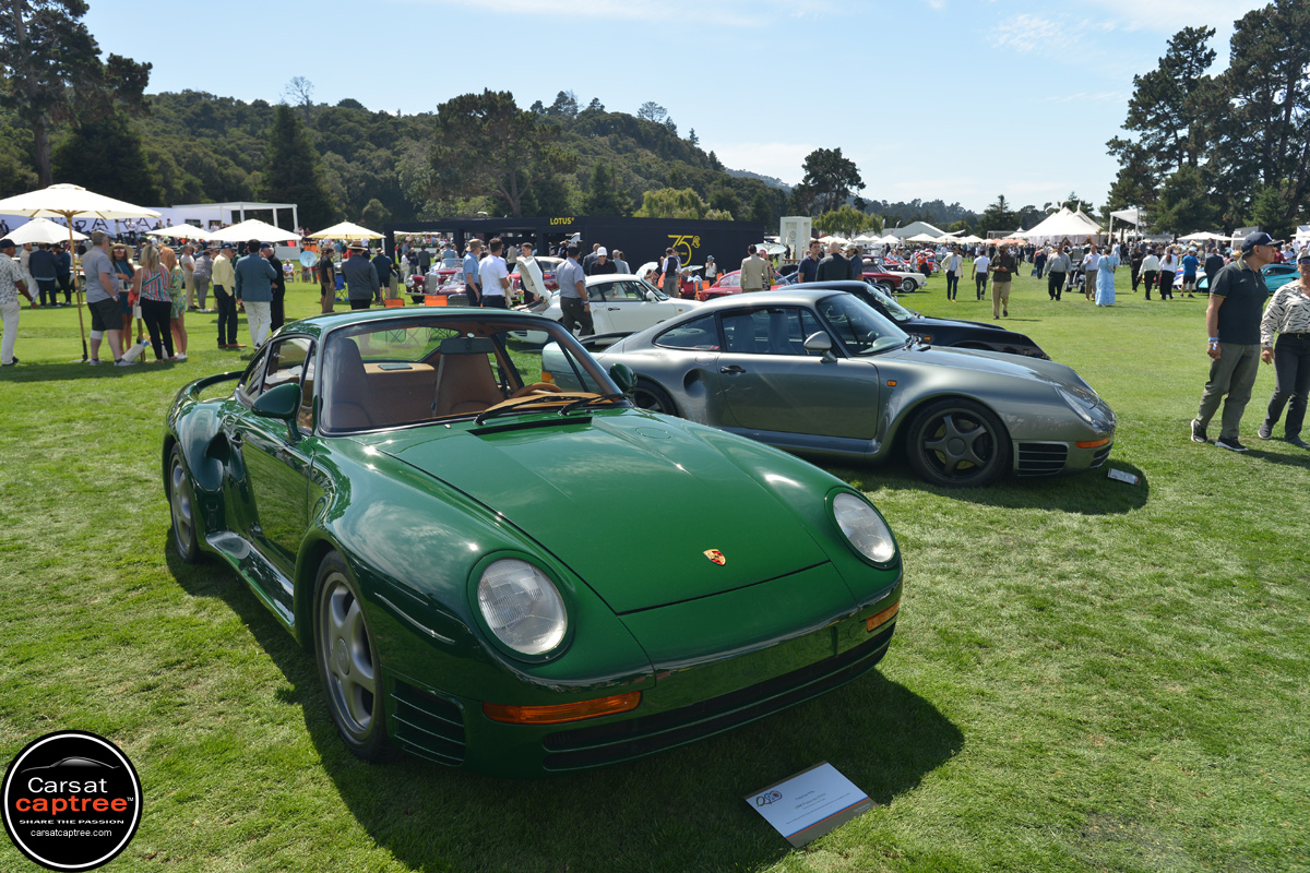 D8E_3736 copy.jpg